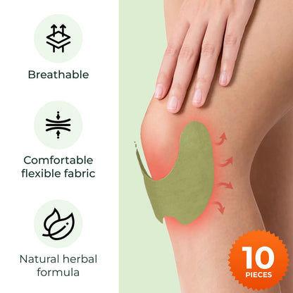 Wellnee Knee & Joint Wellness Bundle – Herbal Patches (10 pcs) & Support Capsules (90 servings)