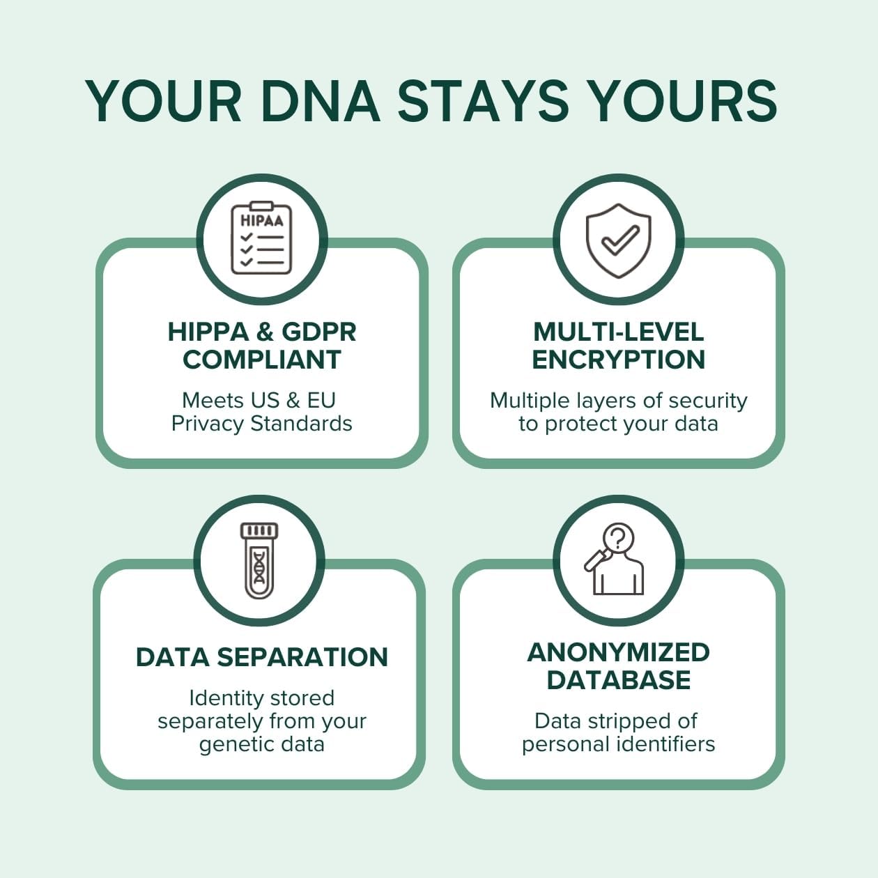 MTHFR Gene Test Kit: At-Home DNA Folate, Methylation, COMT Analysis & Genetic Health Insights – Easy Cheek Swab