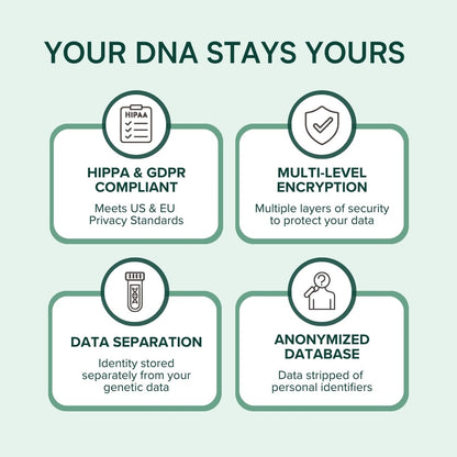 MTHFR Gene Test Kit: At-Home DNA Folate, Methylation, COMT Analysis & Genetic Health Insights – Easy Cheek Swab