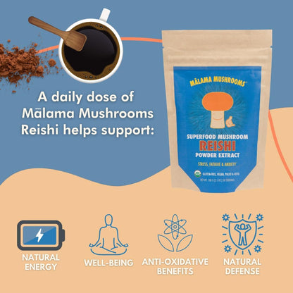 Malama All-Day Vitality Bundle – Lion’s Mane, Cordyceps & Reishi Mushroom Extract Powders – Organic Adaptogenic Superfood Trio for Focus, Energy & Relaxation – Vegan Supplements 3.5 oz (3-Pack)