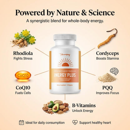 InergyPLUS | Energy Vitamins for Women, Fatigue, Natural Energy Supplements for Focus | Vitamin B12, Folic Acid, Rhodiola Rosea, Cordyceps, CoQ10, Caffeine Free | Packaging Vary | 60 Ct BB CompanyBuy Supplements Australia