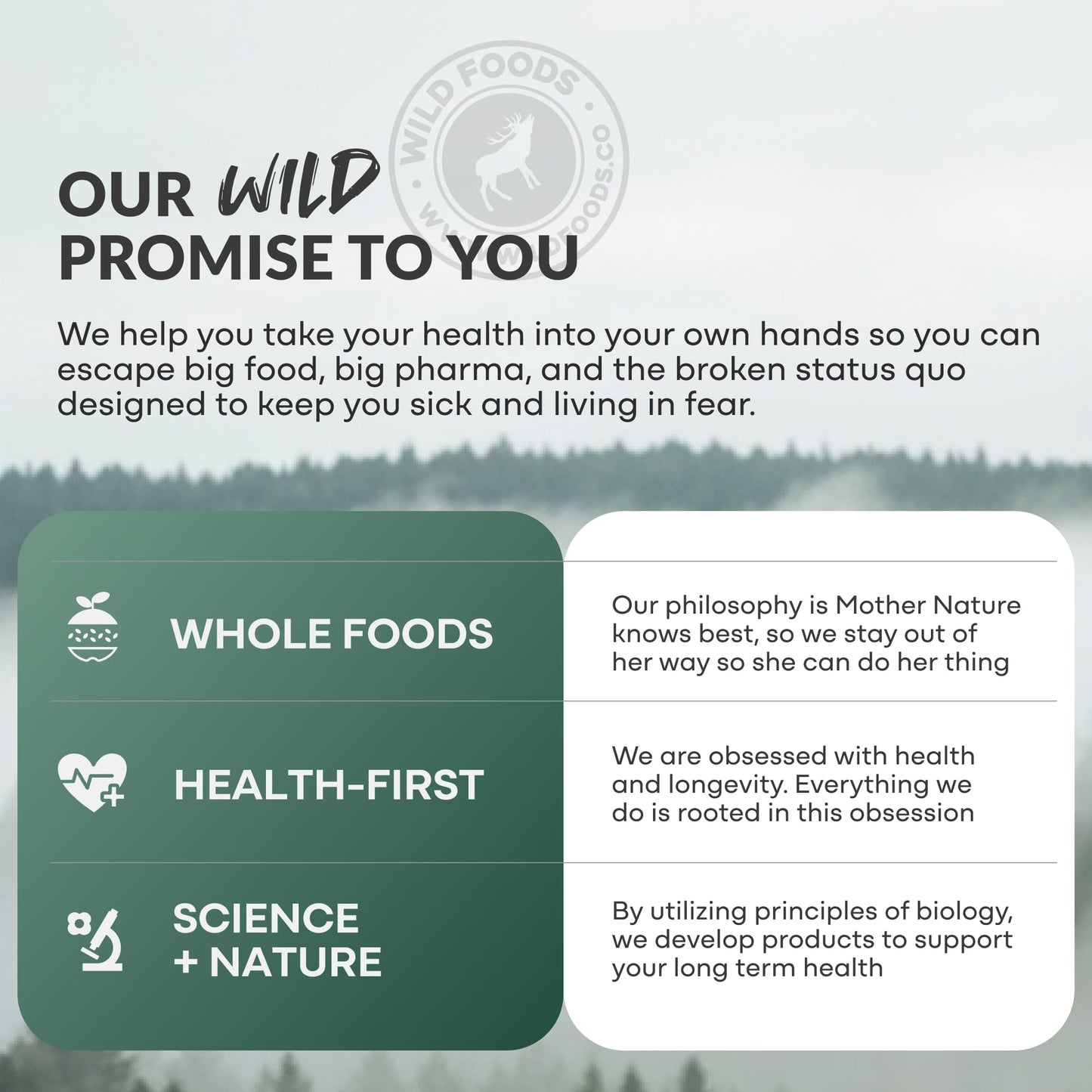 Wild Foods Magnesium Complex Supplement with 7X Forms, 90 Capsules | High Absorption, Full Spectrum, Easy Digestion | 500mg Glycinate, Bisglycinate, Malate, Orotate, Citrate, Taurate