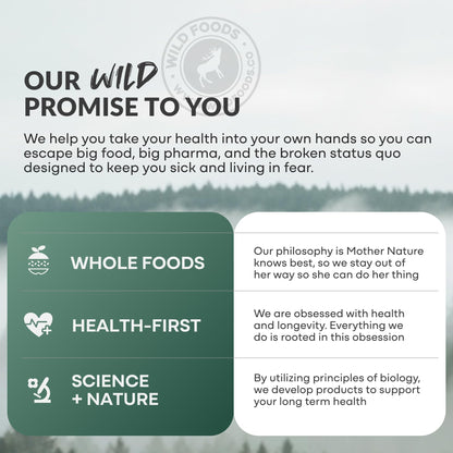 Wild Foods Magnesium Complex Supplement with 7X Forms, 90 Capsules | High Absorption, Full Spectrum, Easy Digestion | 500mg Glycinate, Bisglycinate, Malate, Orotate, Citrate, Taurate