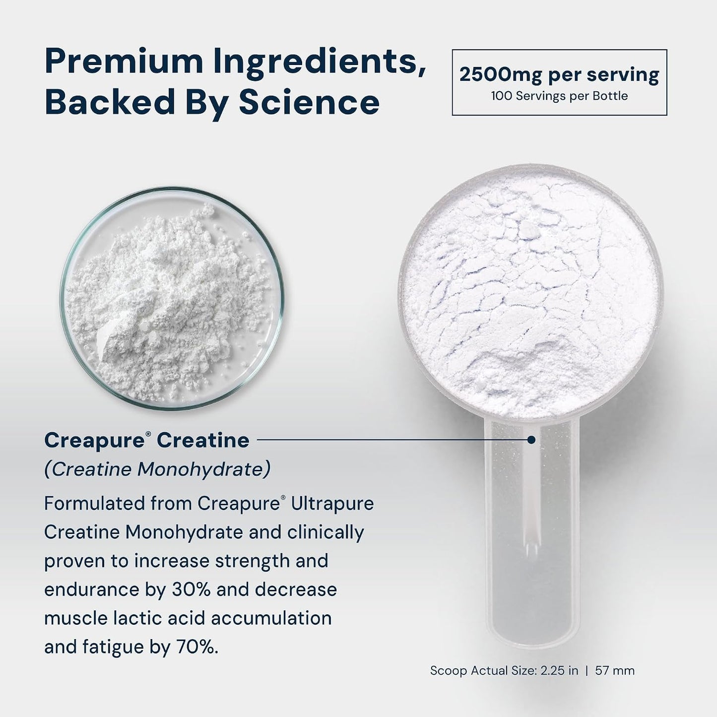HPN C2 Creatine Monohydrate for Performance, Recovery, Strength, Working Out, Vegan, Non-GMO, Dairy and Soy Free, Independently Tested, Ultrapure Premium Creapure (100 Servings)