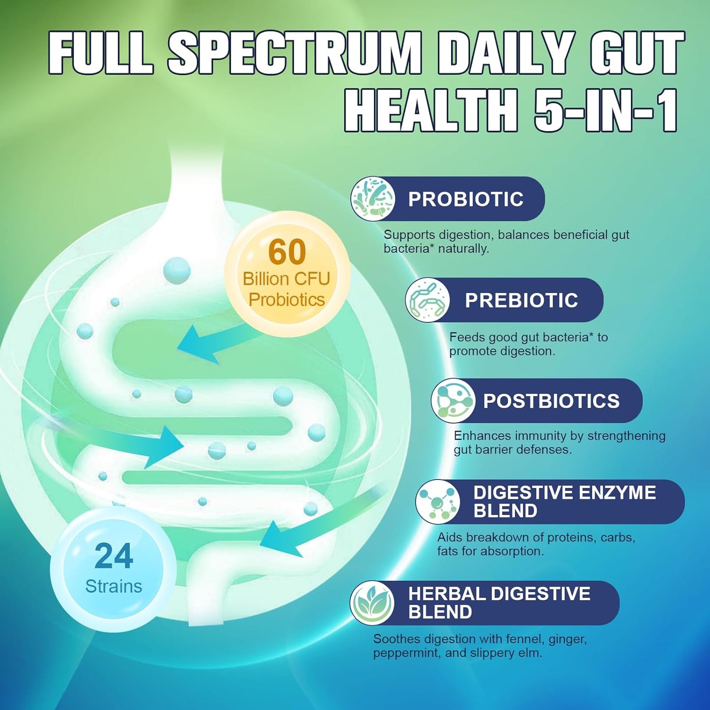 Totaria 5-in-1 60 Billion CFU Probiotic Prebiotic & Postbiotic for Women & Men, w/Digestive Enzymes, Slippery Elm, Daily Complete Gut Health, Digestive & Immune Support, 4 Month Supply, Vegan