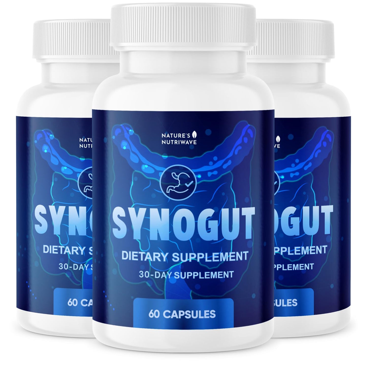 Synogut – Psyllium, Flaxseed & Aloe Vera – 60 Ct, 1 Month Supply | Psyllium, Flaxseed, Aloe Vera & L. Acidophilus | Non-GMO, GMP-Certified, Made in USA | Easy-to-swallow capsule