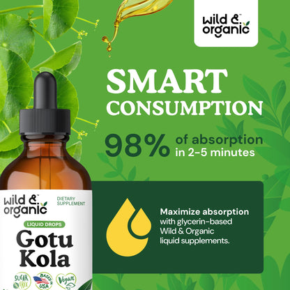 Wild & Organic Gotu Kola Extract Drops - Brain Support with Centella Asiatica Extract - Liquid Gotu Kola Supplement for Focus - Vegan, Sugar & Alcohol-Free Herb Tincture - 4 fl oz