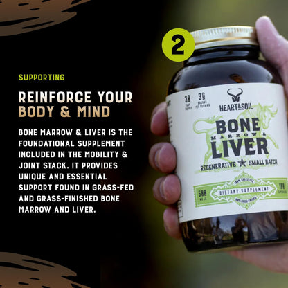 Stress Stack – Mood, Memory, Brain, Bone Marrow, Liver, and Immune Support Supplements for Cognitive and Overall Vitality