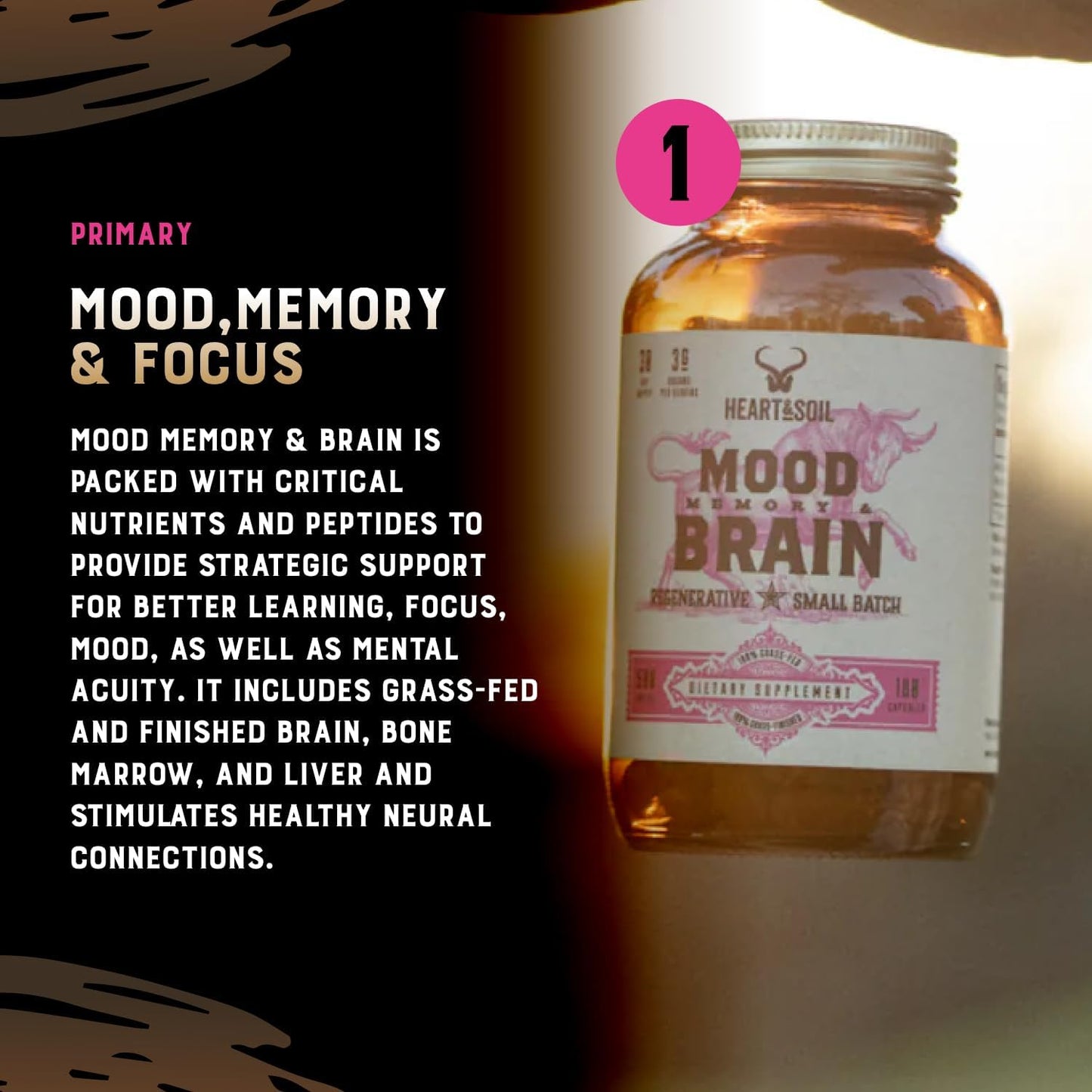 Stress Stack – Mood, Memory, Brain, Bone Marrow, Liver, and Immune Support Supplements for Cognitive and Overall Vitality