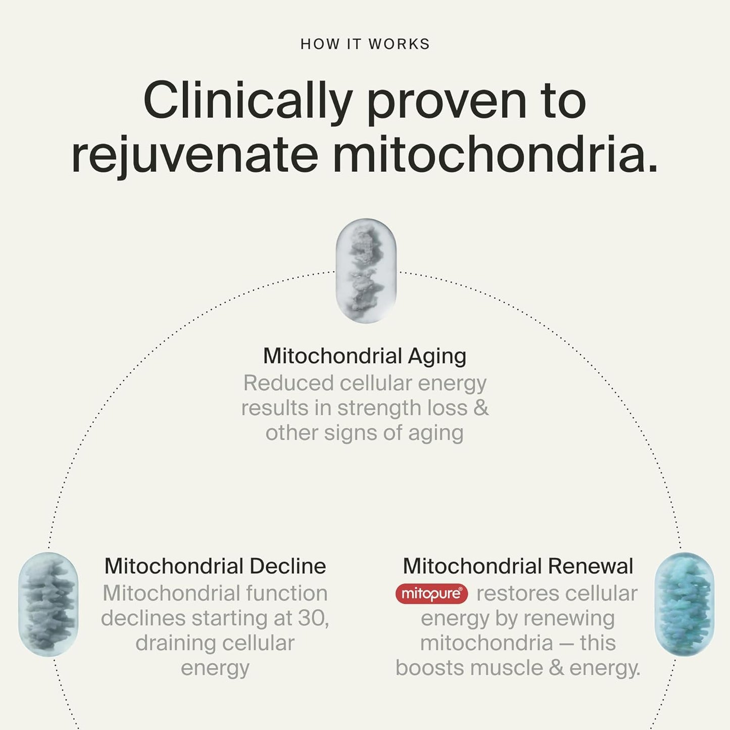 Timeline Mitopure Urolithin A Supplement Gummies - Clinically Proven Support for Healthy Aging Cellular Energy Muscle Strength and Longevity