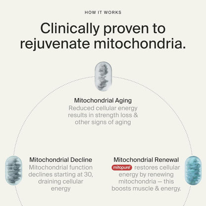 Timeline Mitopure Urolithin A Supplement Gummies - Clinically Proven Support for Healthy Aging Cellular Energy Muscle Strength and Longevity
