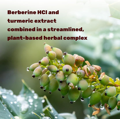 DEAL SUPPLEMENT Berberine Max Supplement with Turmeric, 5000 mg** Per Serving, 240 Vegetarian Capsules | Berberine HCl with Turmeric Root Extract | Non-GMO