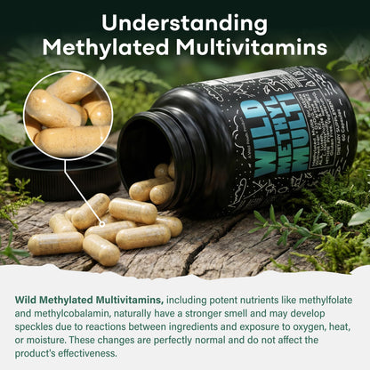 Wild Methylated Multivitamin for Women & Men | Daily Multi Vitamin | MTHFR Supplement Without Iron | Methylated B12, Folate, Vitamin C, A, K2, D, E, Choline, Biotin, ALA, CoQ10 & More (60 Capsules)