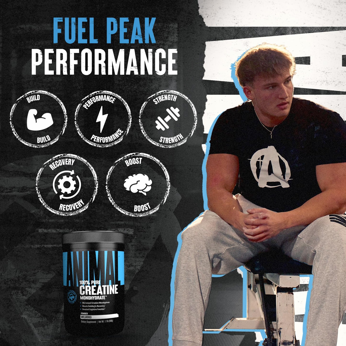 Animal Creatine Monohydrate Powder - Micronized Creatine for Women and Men, Supports Muscle Growth, Strength, Endurance, Recovery and ATP Production,