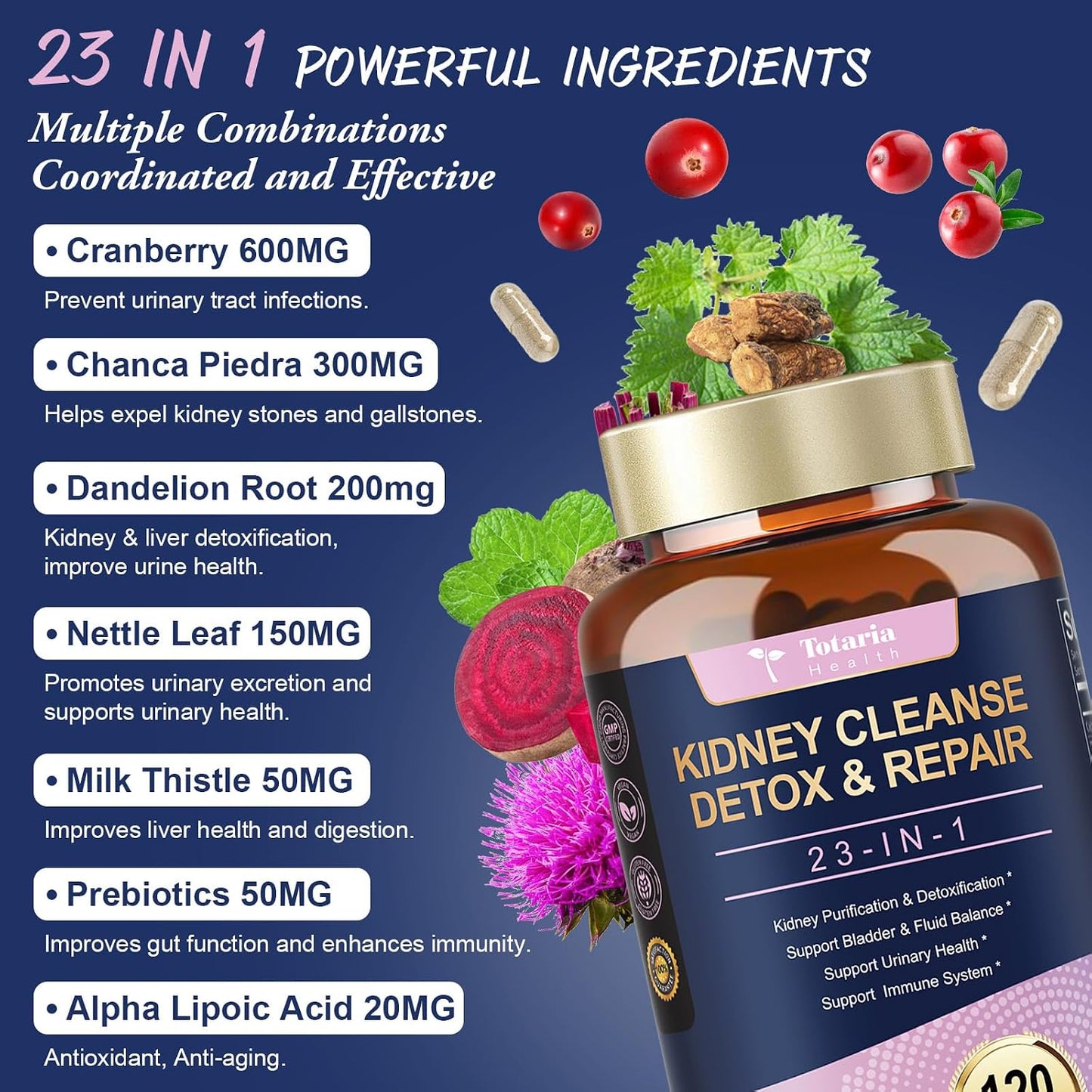 Kidney Cleanse Detox & Repair, Advanced Kidney Support Supplement - Cranberry & Chanca Piedra Pills for Bladder Control, Urinary Pain Relief, Cranberry Urinary Tract Health, Kidneey Stones Dissolver