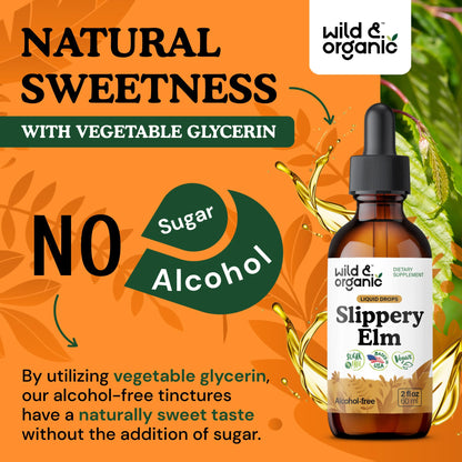 Wild & Organic Slippery Elm Liquid Drops - Lung, Digestive & Women's Support - Slippery Elm Bark Supplement - Add to Tea Tincture - Ulmus Rubra Herb - Vegan, Sugar & Alcohol-Free - 4 fl oz